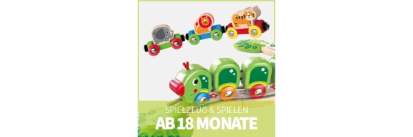 Holzeisenbahn ab 18 Monaten