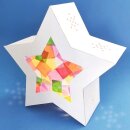 Laternen-Bastelset-Lampion -Twinkle Star "weiß" - Laterne zum basteln und selber machen - DIY