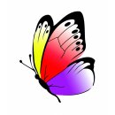Betty Fly - Finde die Schmetterlinge - Lernspiel für Zuhause - Beleduc 22463
